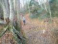 videos de dh de cran
