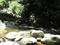 Trilha do Itupava 19120009 312.avi