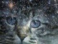 Hawkfrost - Wake Me Up