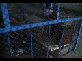 Duhok Zoo!
