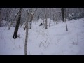 kinsman 4