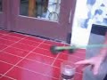 Menangkap Semut