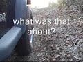 Jeep Trip virtual Jeep Trip virtual