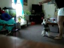 Kaiser dancing