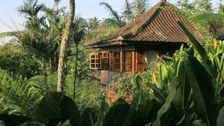 Sarinbuana Eco Lodge
