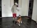 MOV01793 MOV01793