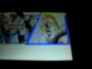 me playing hokuto no ken ds
