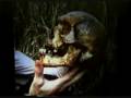 videos de Lloyd Pye divine intervention Theory 5-8