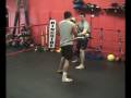 Phoenix Fight Club Muay Thai Shorts Test
