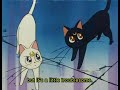 Sailor Moon - 35 A Reluctant Princess Part 2
