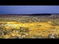 Danakil Desert - Dallol Salt Flats