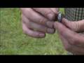 Fort Necessity Stockade Musket Test