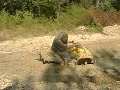 renegade 800 stuck