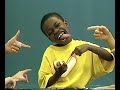 かわいい犬動画