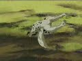 Densetsu weed AMV by Malene Küster - everytime we touch