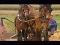 Jacqueline Dulac- Les chevaux