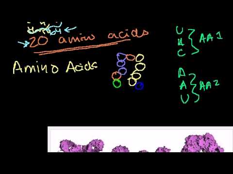 how to get rid of genomic dna in rna