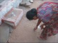 South India Diary Part 5: Rameshwaram & Nearby Tirthas