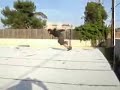 amazing stunts amazing stunts