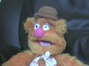 Fozzie: A bear's story
