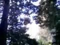 Campanile tocando