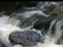 Best of Bushkill Falls