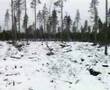 Last Yoik in Saami Forests (part 1 of 6)