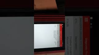 Síntomas del p163b BMW