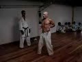 Tensho Kata - www.gojuryu.com.ar Tensho Kata - www.gojuryu.com.ar