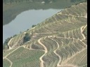 S. Joao da Pesqueira   A Construção de Uma Realidade