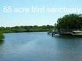 Clearwater Florida, Largo waterfront pool home