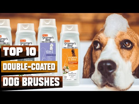 Brushes for Double-Coated Dogs 🐕 Best Brushes for Double Coated Dog On Amazon