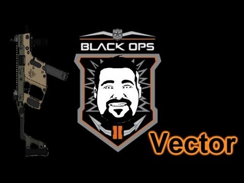 how to load vector