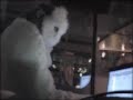 Super Polar at Sirkus