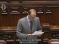 Parlamento pulito
