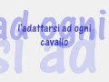 I cavalli, la mia vita!