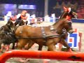 Stockholm International Horse Show