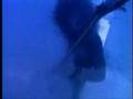 Pantera - This Love