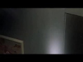 Synchronicity: The Birds (lurking in the attic)