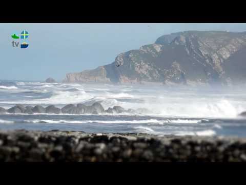 Playa de Los Quebrantos