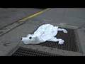 air bear (sound)