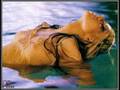 Dirty Pictures of Christina Aguilera