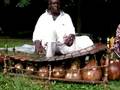 African hilife