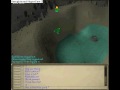 Runescape-Frogland
