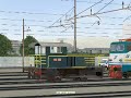MSTS Italia IDP Osmannoro