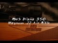 slow motion air rifle destruction