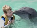 Swimming with Dolphins Swimming with Dolphins