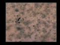 ABP Borderhawk Assist in Illegal Intruders apprehension ABP Borderhawk Assist in Illegal Intruders apprehension
