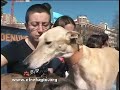 El Refugio otorga un suspenso a la Comunidad de Madrid