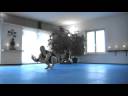 Dynamic Flow Yoga: Original Spider Cycle Dynamic Flow Yoga: Original Spider Cycle